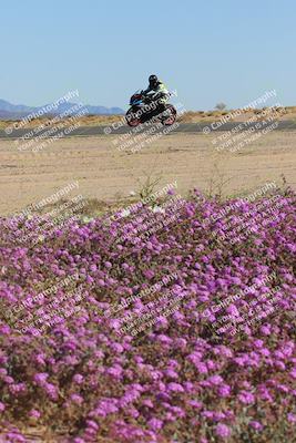 media/Feb-10-2023-2WTD (Fri) [[a356e03532]]/B Group/Session 5 (Turn 15 Blooming)/